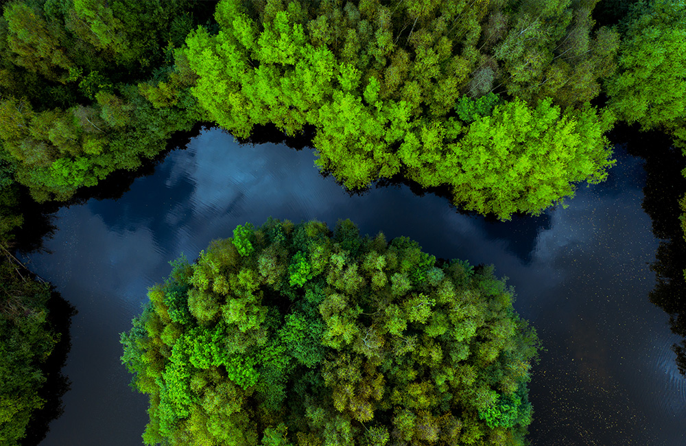 Wetlands Are a Financial Issue, Not Just an Environmental One